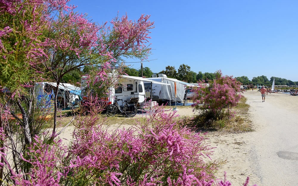 Camping de la plage — photo 5